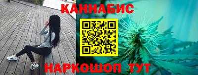 jwh Бийск