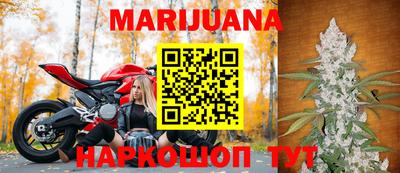 jwh Бийск