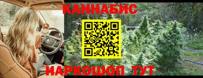 jwh Бийск