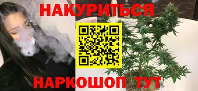 jwh Бийск