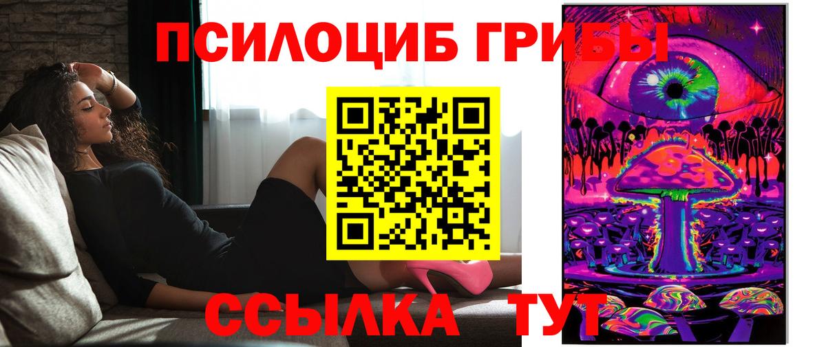 Галлюциногенные грибы Psilocybine cubensis Балашиха