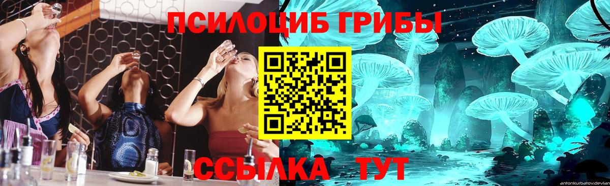 Псилоцибиновые грибы прущие грибы  цены наркотик  Балашиха 